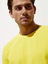 JS Omsa Футболка 270546 OmT_U 1201 COTTON giallo