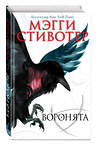 Эксмо Мэгги Стивотер "Вороновый круг. Воронята (#1)" 342702 978-5-04-097515-0 