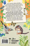АСТ Коваль Ю.И. "Алый" 376505 978-5-17-147122-4