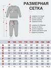 Утёнок Костюм 533191 7045п серый_меланж_волк