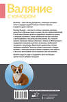 АСТ Евгения Быкова "Валяние с юмором: для начинающих. 8 мастер-классов" 539915 978-5-17-169750-1