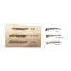 L‘OCEAN Автоматический карандаш для бровей / Auto Eye Brow Pencil Professional, 05 Brown 548894 21403