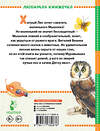 АСТ Бианки В.В. "Лис и Мышонок. Сказки" 555347 978-5-17-178087-6