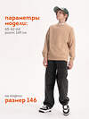 PELICAN Толстовка 566656 BFN3371/1 Песочный