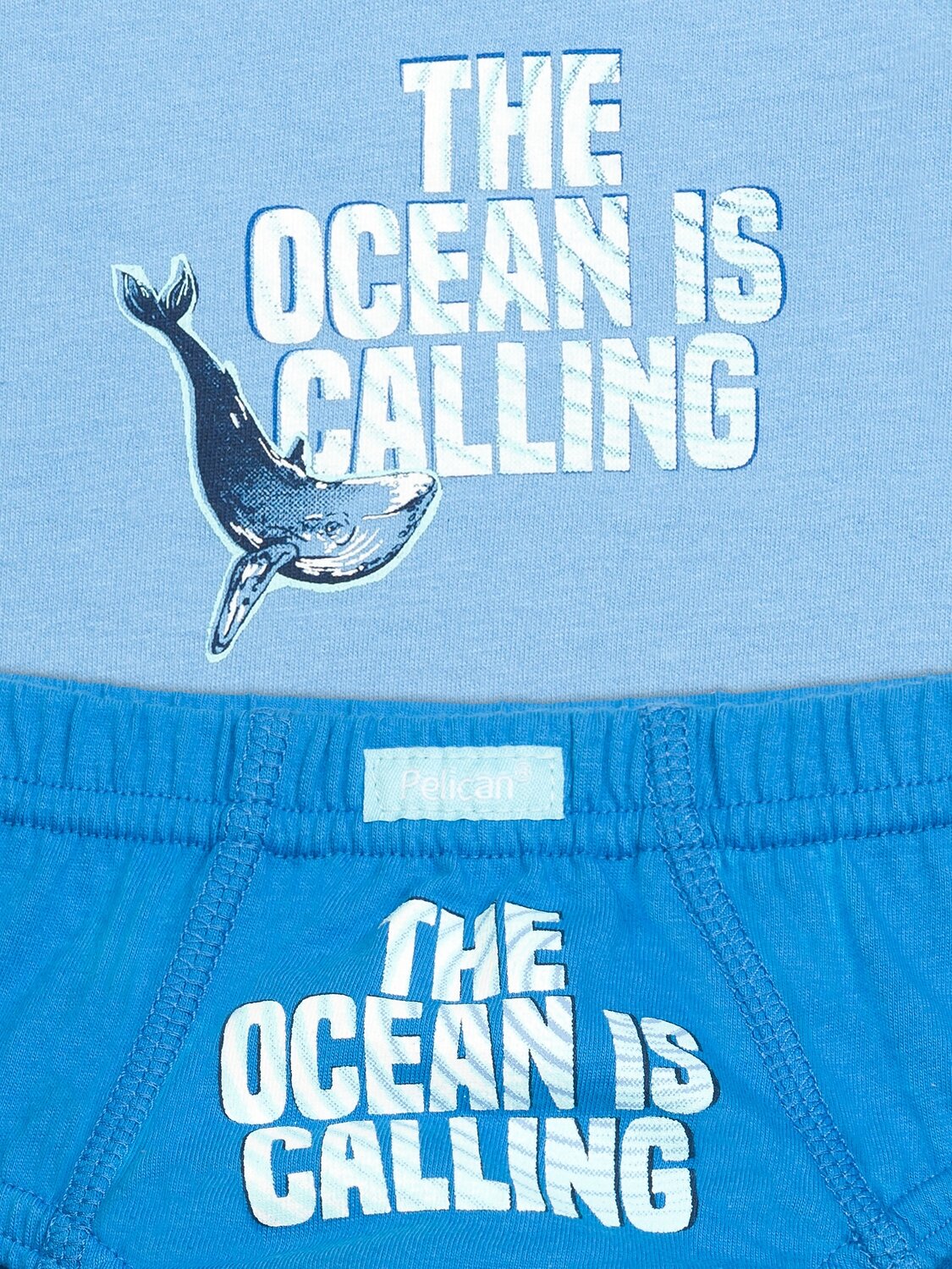 PELICAN Комплект 175507 BUAVL3223 Голубой