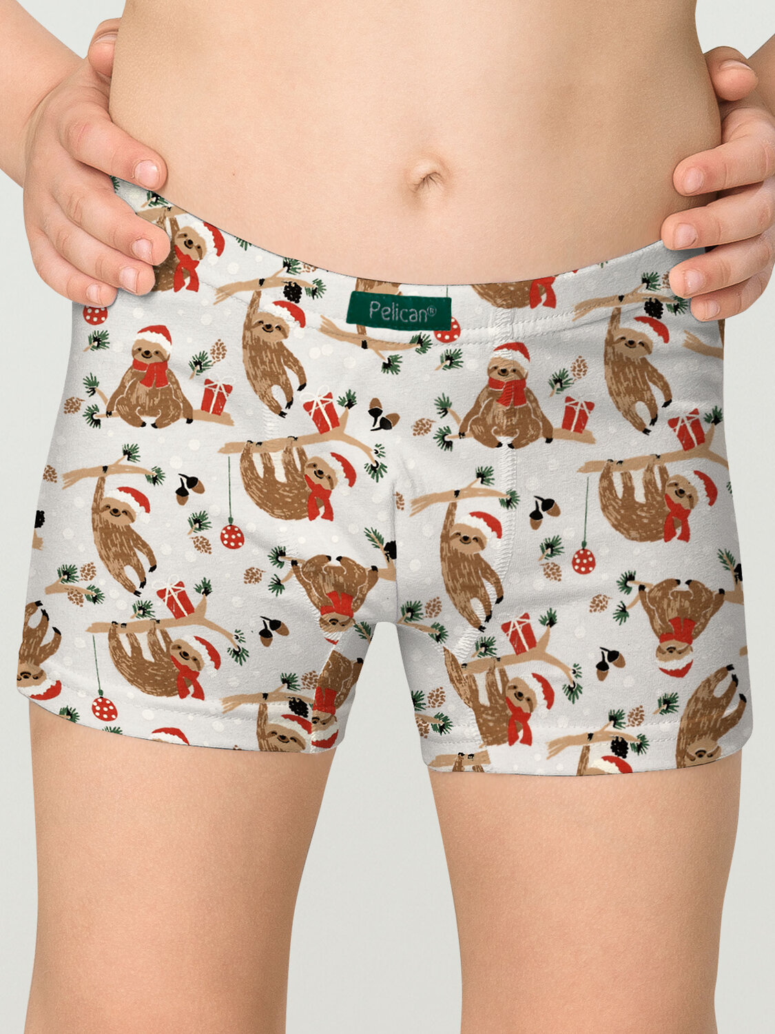 PELICAN Трусы 263522 BUHB3309(2) Хаки/серый