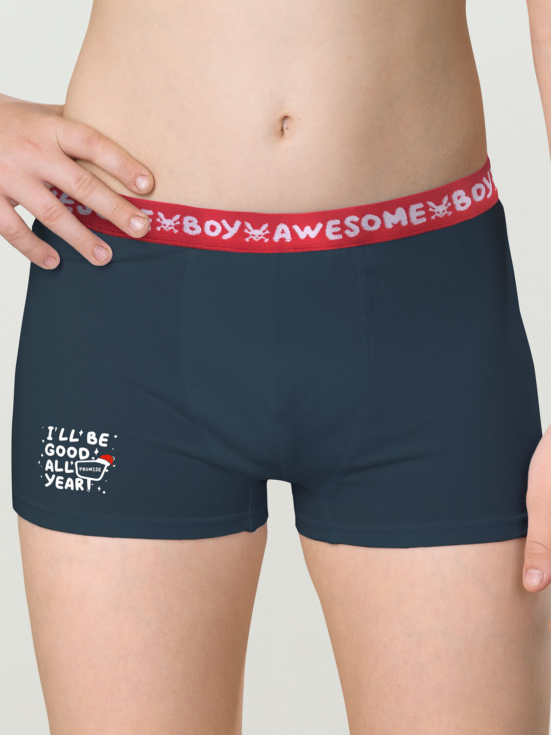 PELICAN Трусы 263523 BUHB4307(2) Серый/темно-синий