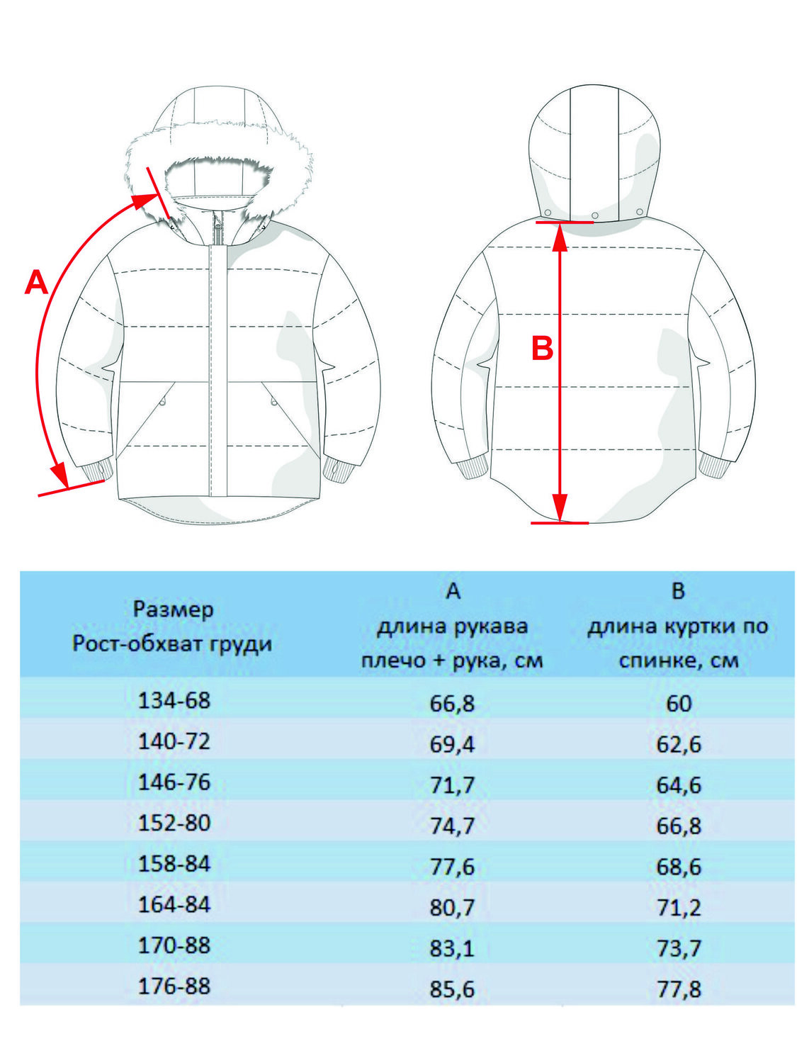 BATIK Ветровка 276521 554-23в-176-88-3-02 Синий электрик