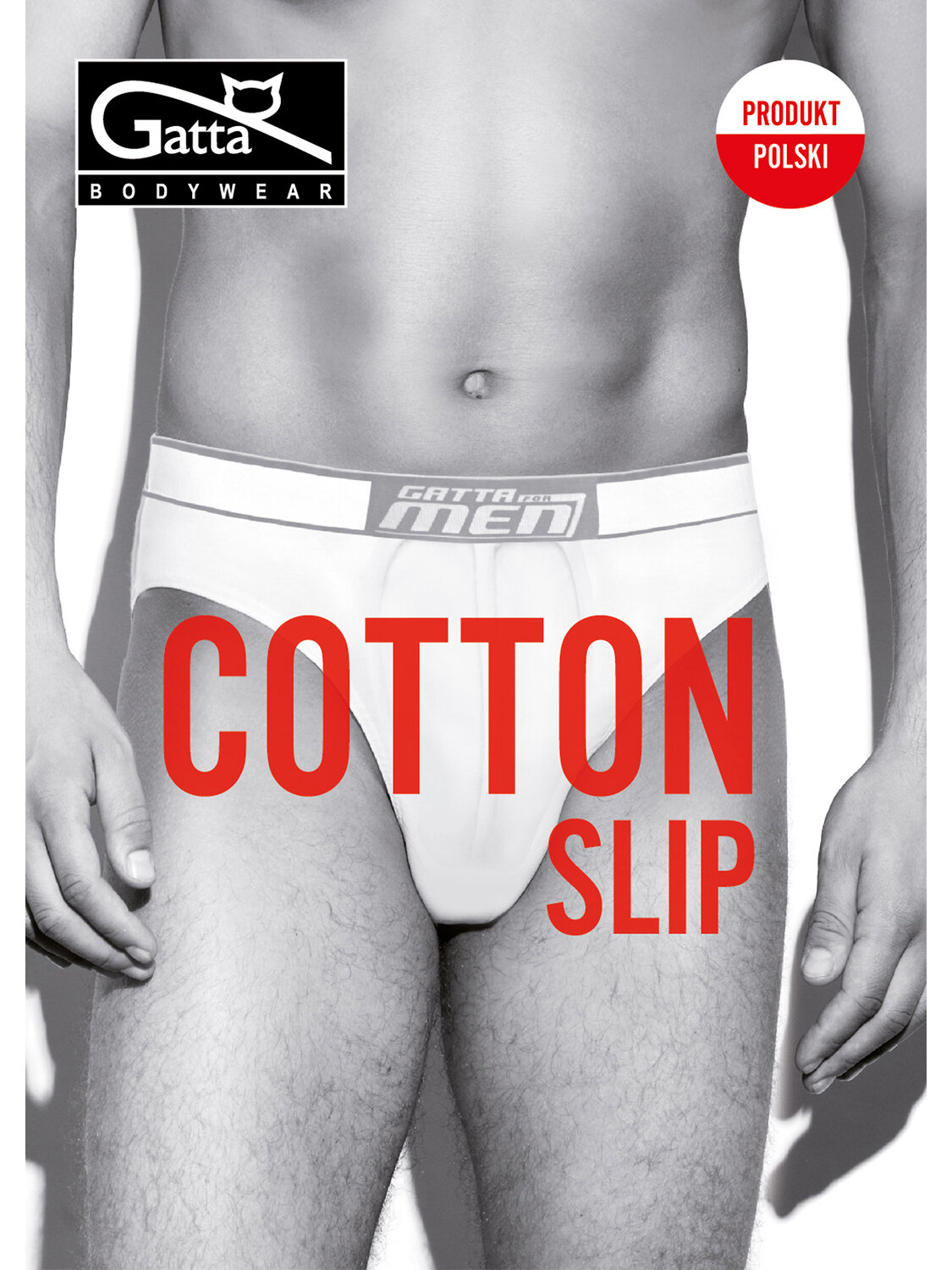 JS Gatta Трусы 279829 SLIP COTTON titanium