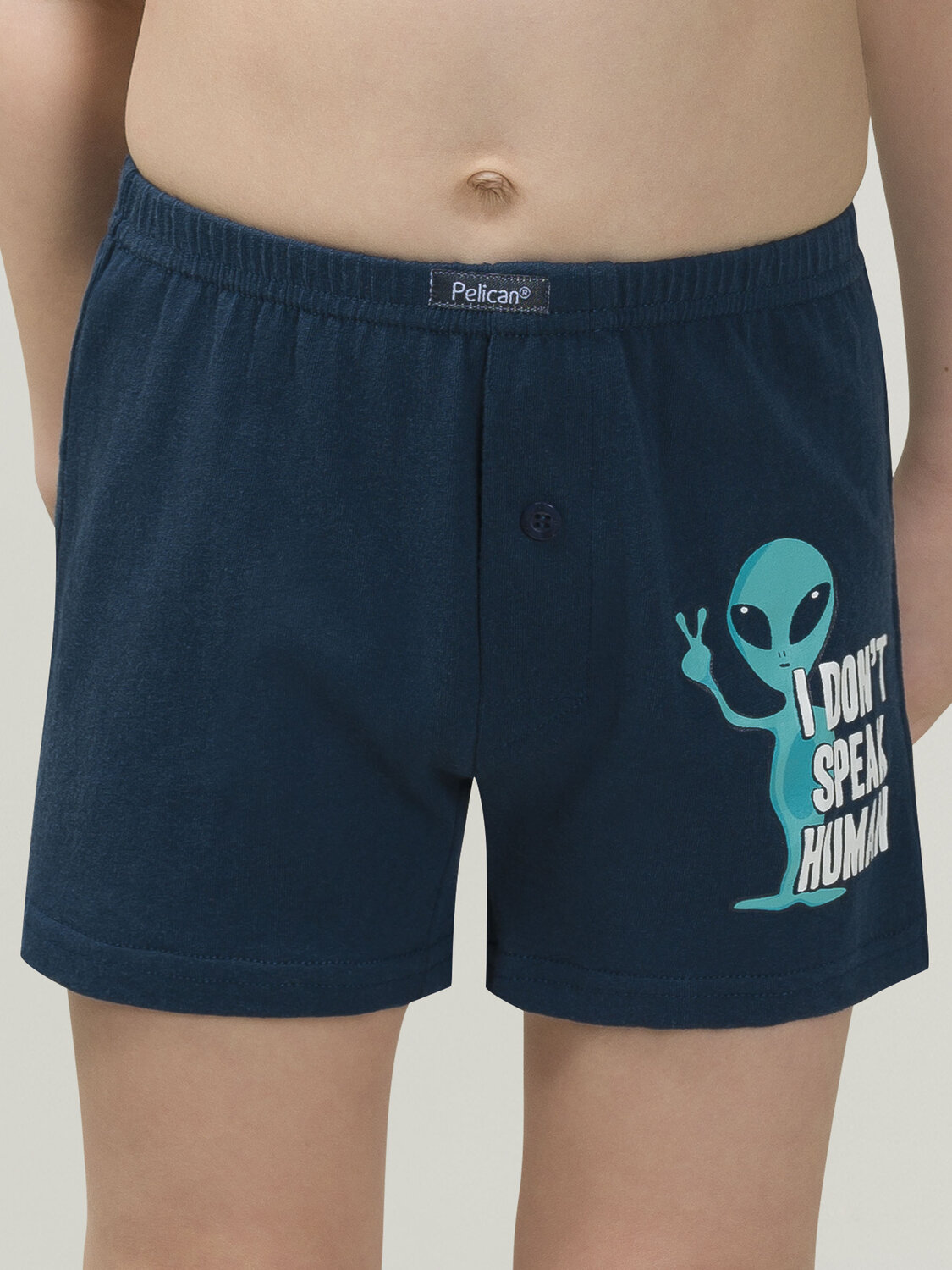 PELICAN Трусы 298179 BUB3297(2) Темно-синий/светло-серый