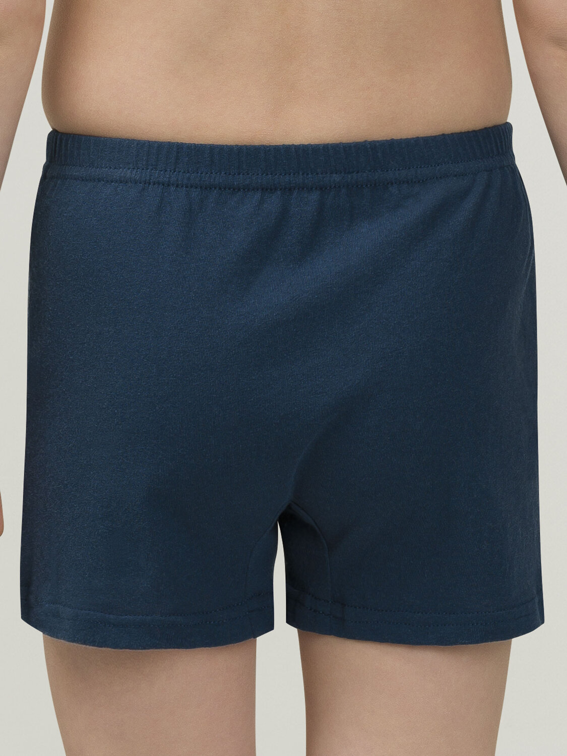 PELICAN Трусы 298179 BUB3297(2) Темно-синий/светло-серый