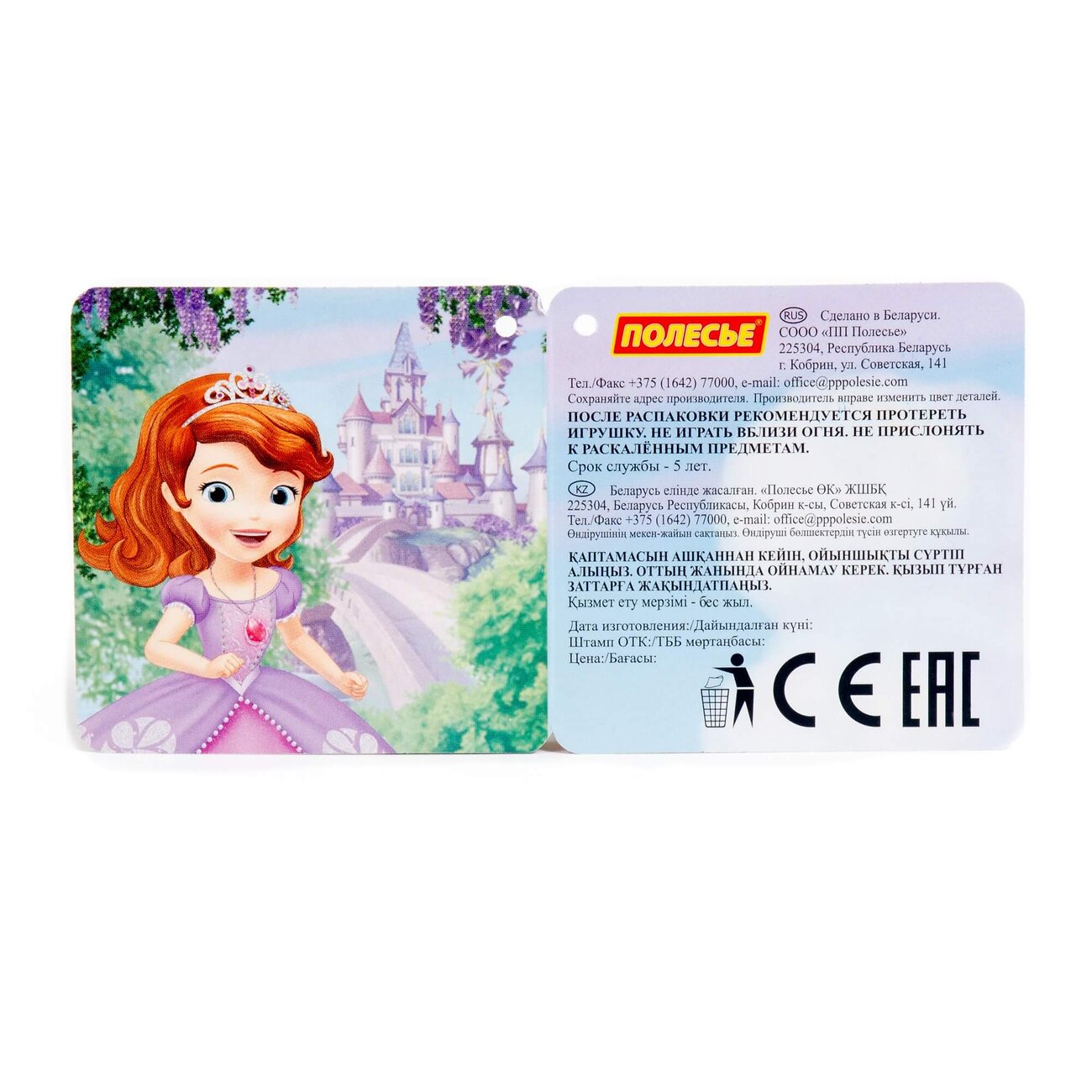 Полесье Песочный набор Disney с ведром большим с наклейкой (микс №9) 322115 70937