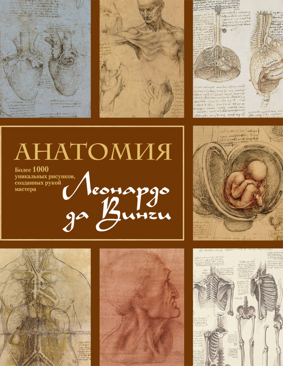 Эксмо М. Клейтон, Р. Фило "Анатомия Леонардо" 338988 978-5-699-59465-8