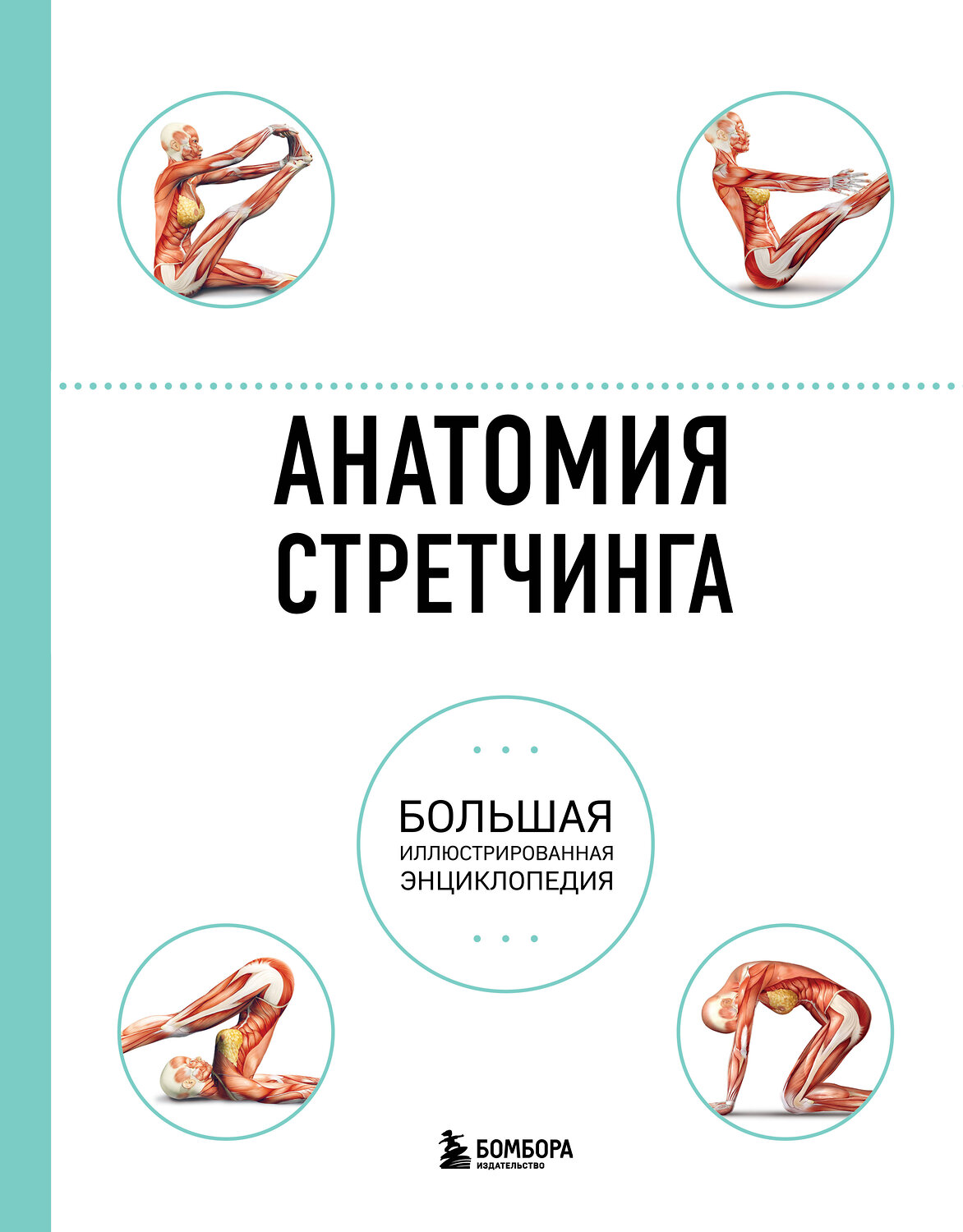 Эксмо Брэд Уокер "Анатомия стретчинга. Большая иллюстрированная энциклопедия" 339747 978-5-699-81838-9