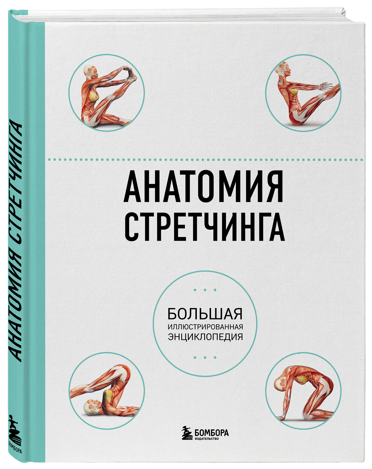 Эксмо Брэд Уокер "Анатомия стретчинга. Большая иллюстрированная энциклопедия" 339747 978-5-699-81838-9