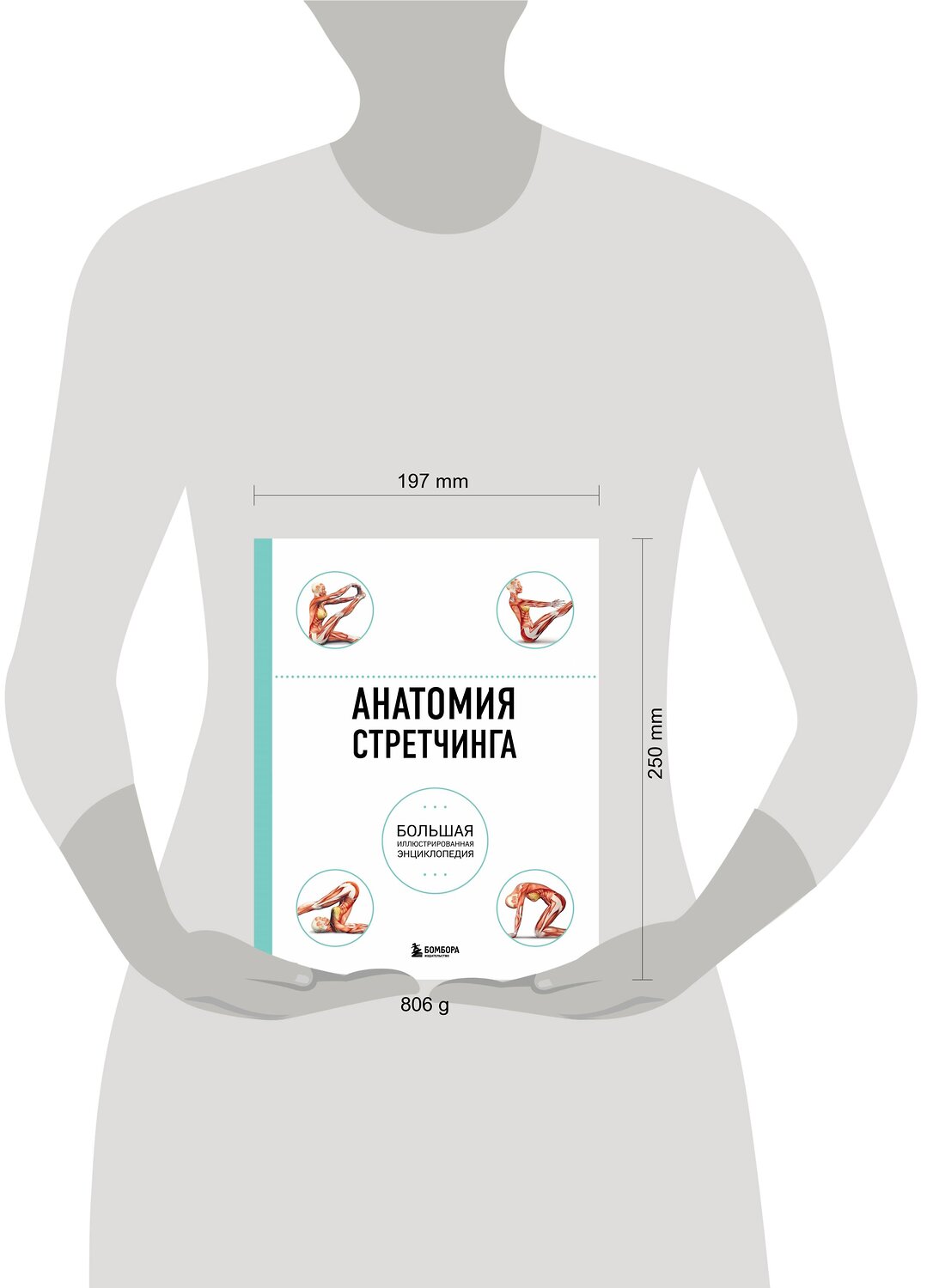 Эксмо Брэд Уокер "Анатомия стретчинга. Большая иллюстрированная энциклопедия" 339747 978-5-699-81838-9