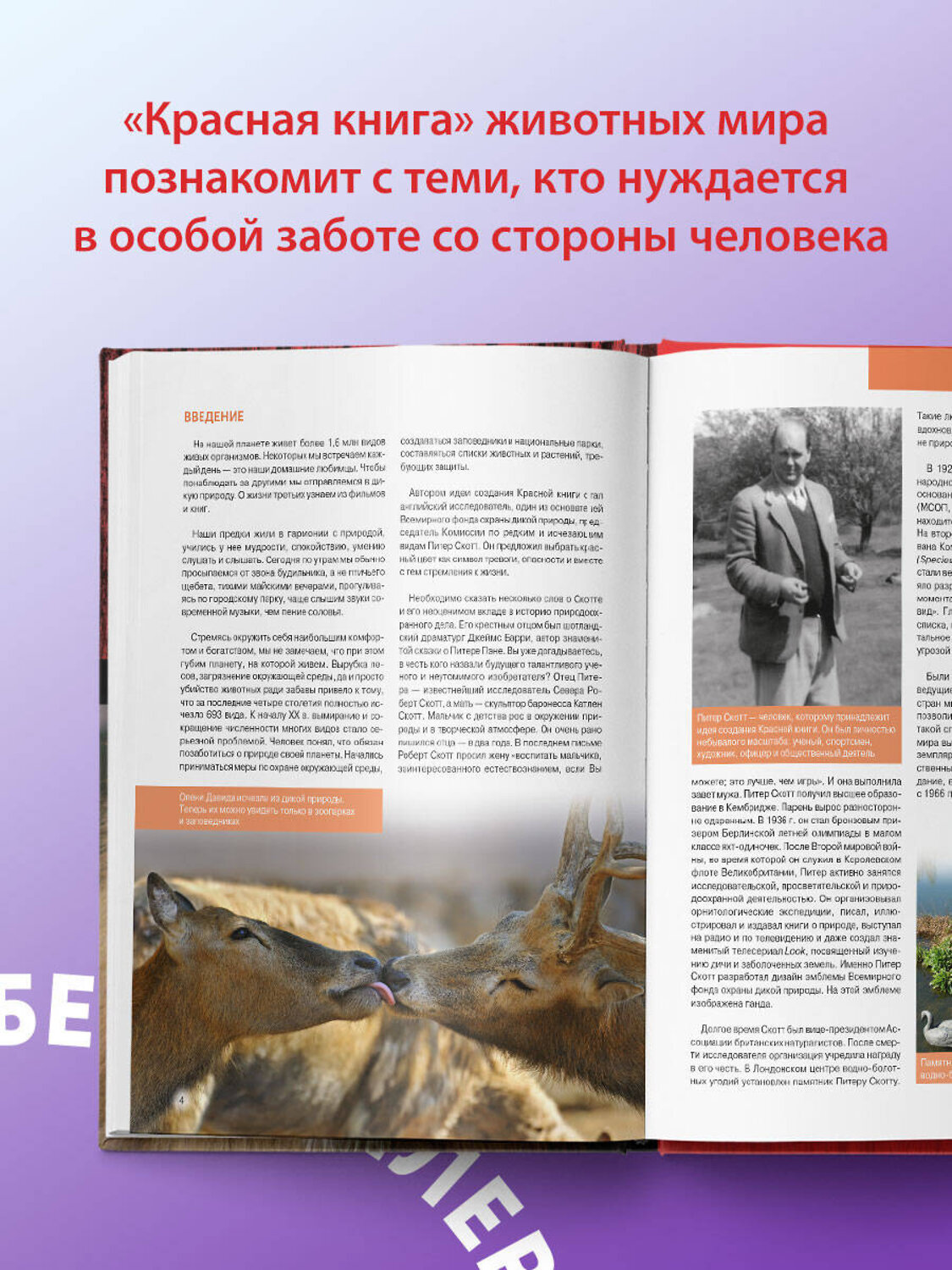 Эксмо Оксана Скалдина, Евгений Слиж "Красная книга. Животные мира" 340309 978-5-699-71212-0