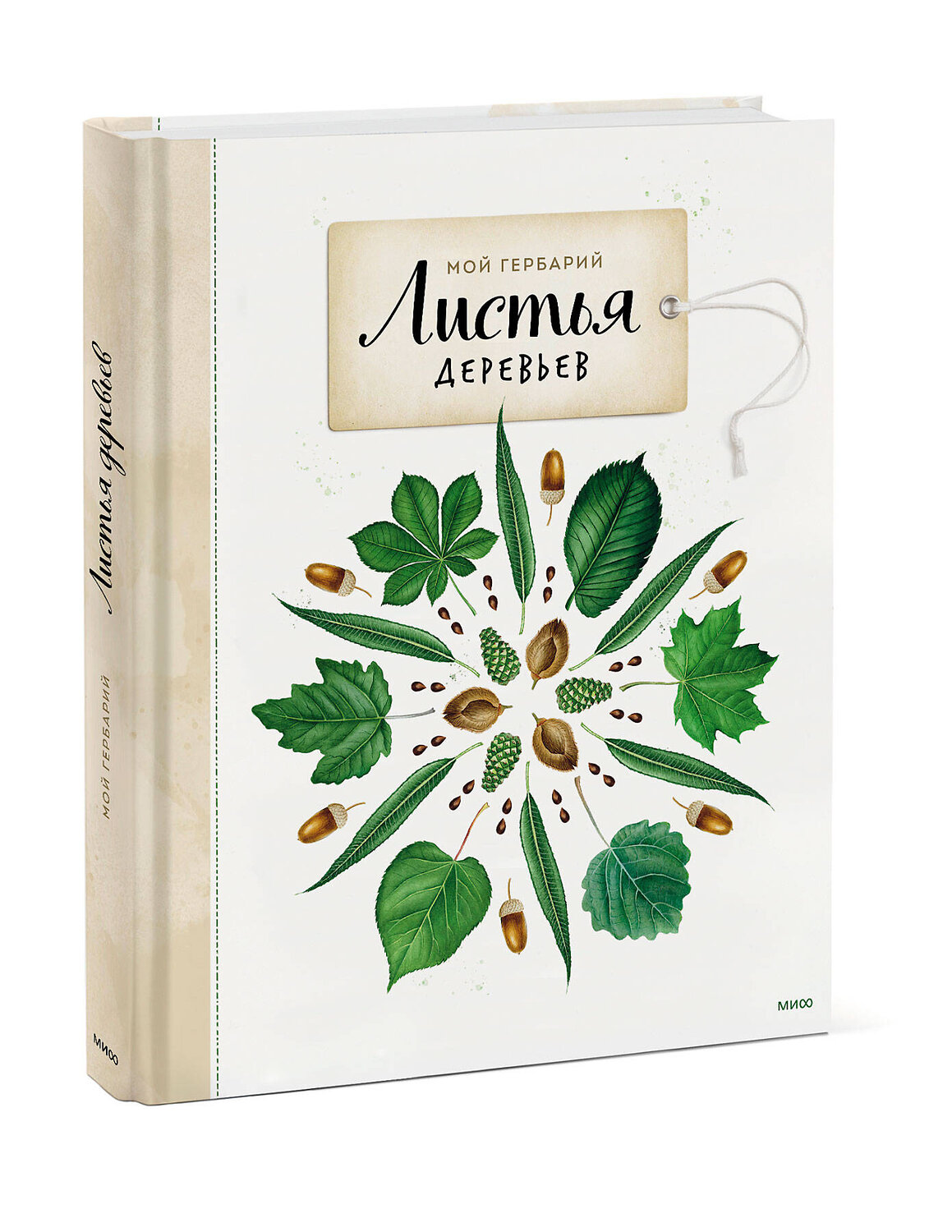 Эксмо Анна Васильева "Мой гербарий. Листья деревьев" 342397 978-5-00169-756-5