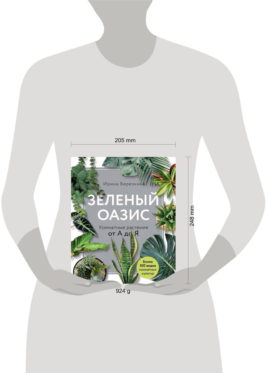 Эксмо Ирина Березкина "Зеленый оазис. Комнатные растения от А до Я" 343052 978-5-04-098786-3