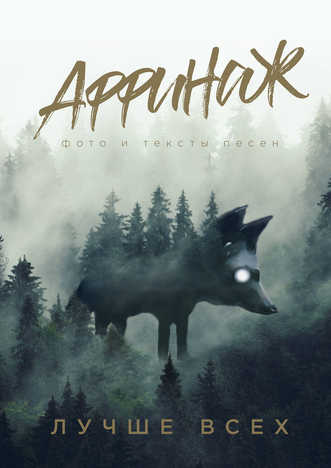 Эксмо Калинин М.Н. "Аффинаж. Фото и тексты песен. Лучше всех" 343628 978-5-04-101540-4
