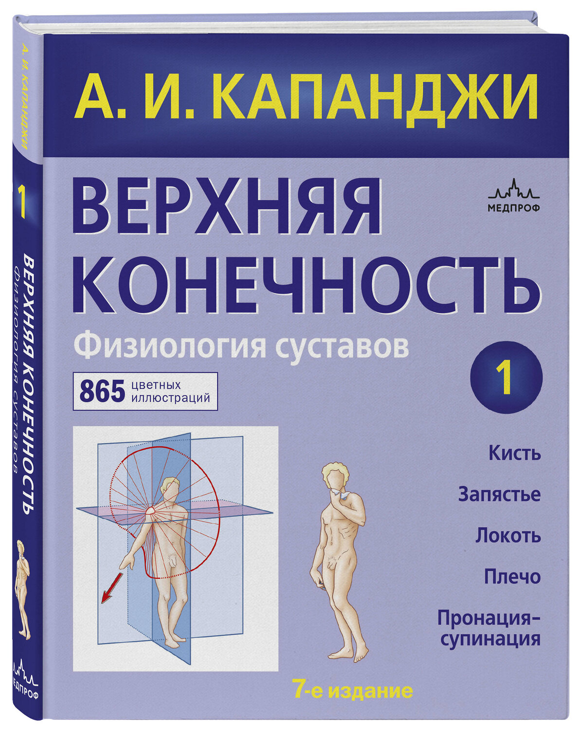 Эксмо Капанджи А.И. "Верхняя конечность. Физиология суставов (обновленное издание)" 347454 978-5-04-113738-0