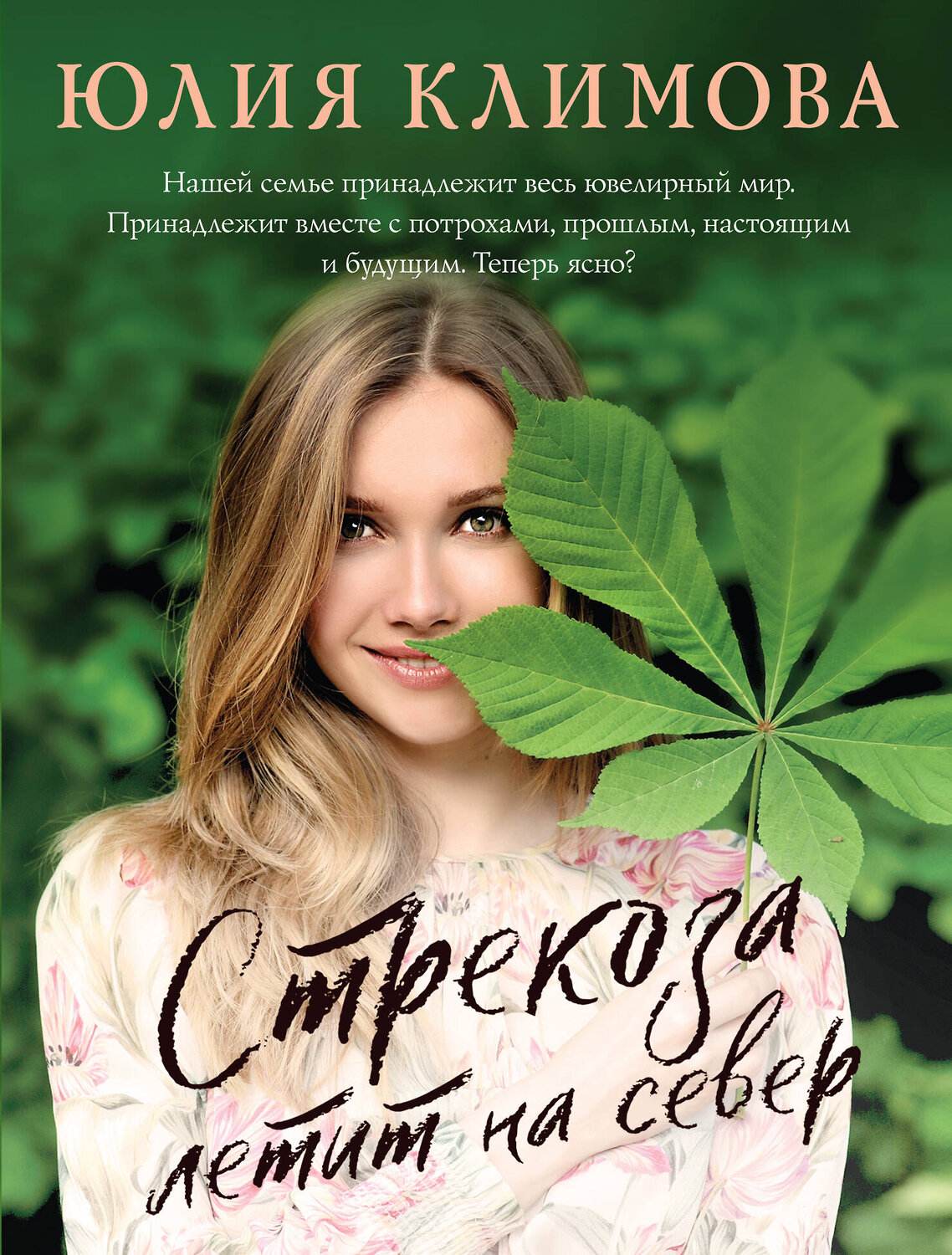 Эксмо Юлия Климова "Стрекоза летит на север" 355311 978-5-04-166637-8