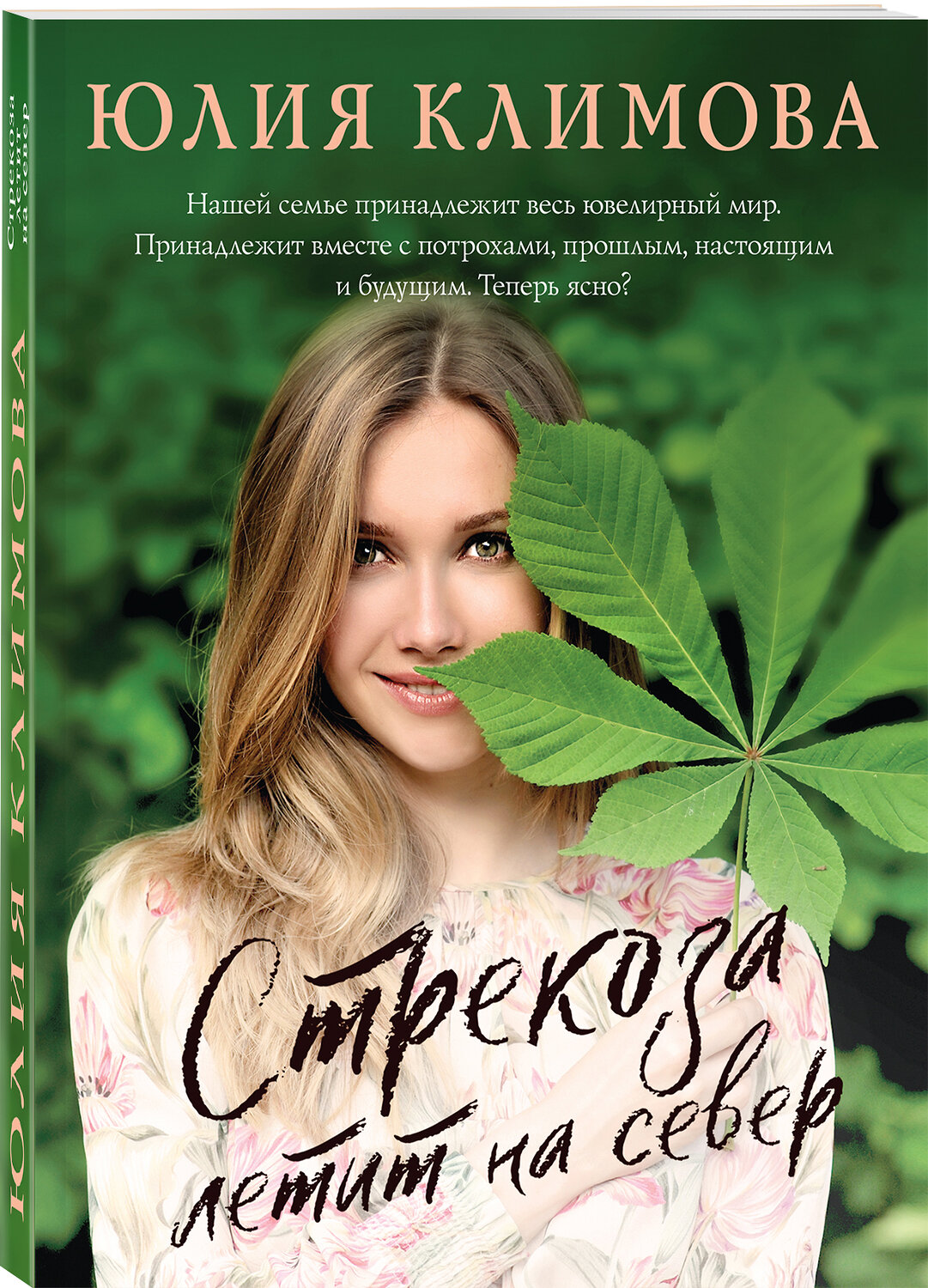 Эксмо Юлия Климова "Стрекоза летит на север" 355311 978-5-04-166637-8
