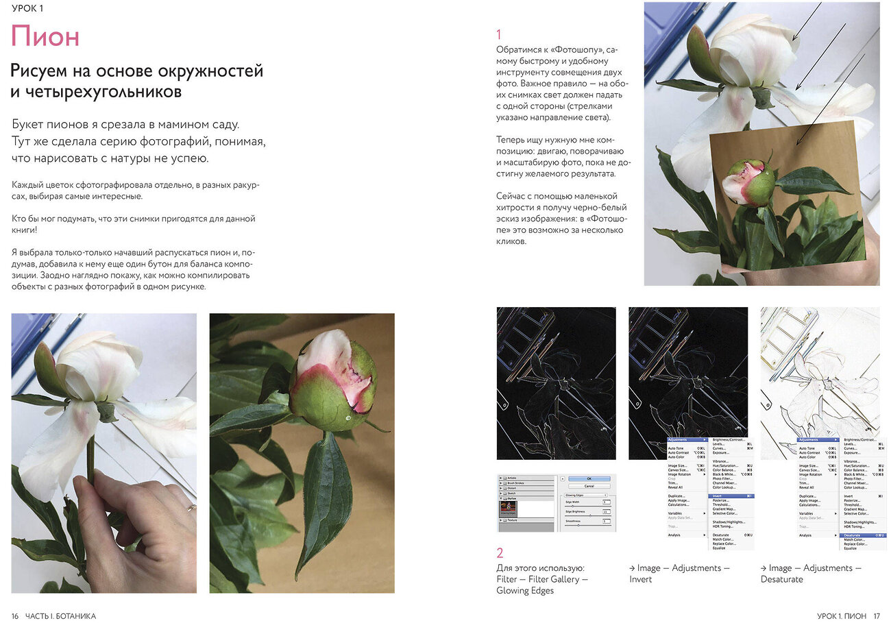 Эксмо Оксана Фомина "Кролики-пионы от Оксаны Фоминой. Авторская акварельная иллюстрация за 14 уроков" 356395 978-5-00195-516-0