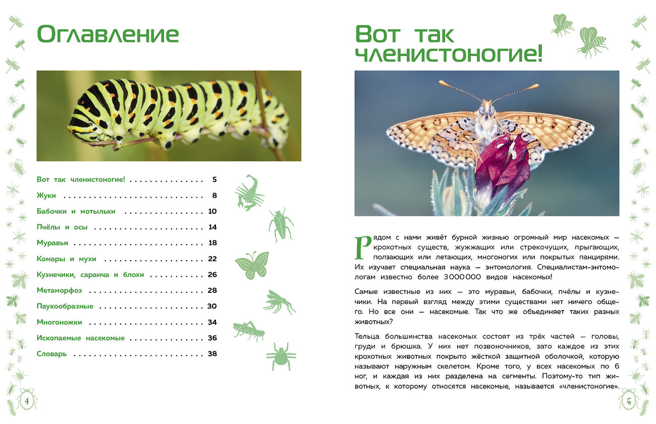 Эксмо "Насекомые" 356854 978-5-04-171367-6