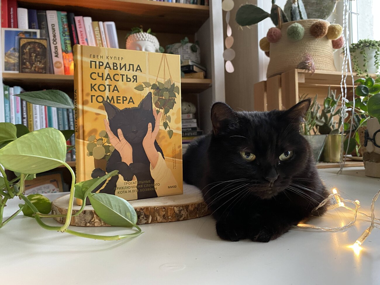 Эксмо Гвен Купер "Правила счастья кота Гомера. Трогательные приключения слепого кота и его хозяйки" 357641 978-5-00195-045-5