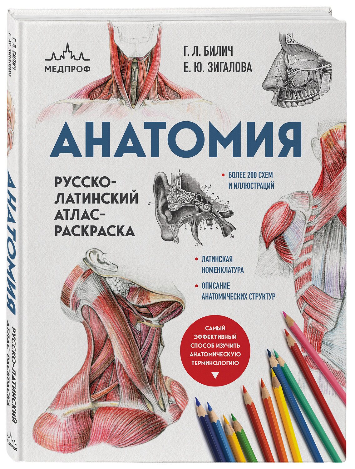 Эксмо Г. Л. Билич, Е. Ю. Зигалова "Анатомия: русско-латинский атлас-раскраска (новое оформление, новый формат)" 357718 978-5-04-173857-0