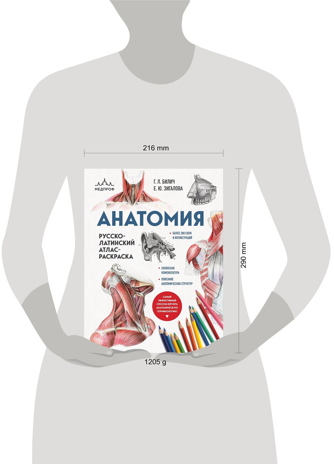 Эксмо Г. Л. Билич, Е. Ю. Зигалова "Анатомия: русско-латинский атлас-раскраска (новое оформление, новый формат)" 357718 978-5-04-173857-0