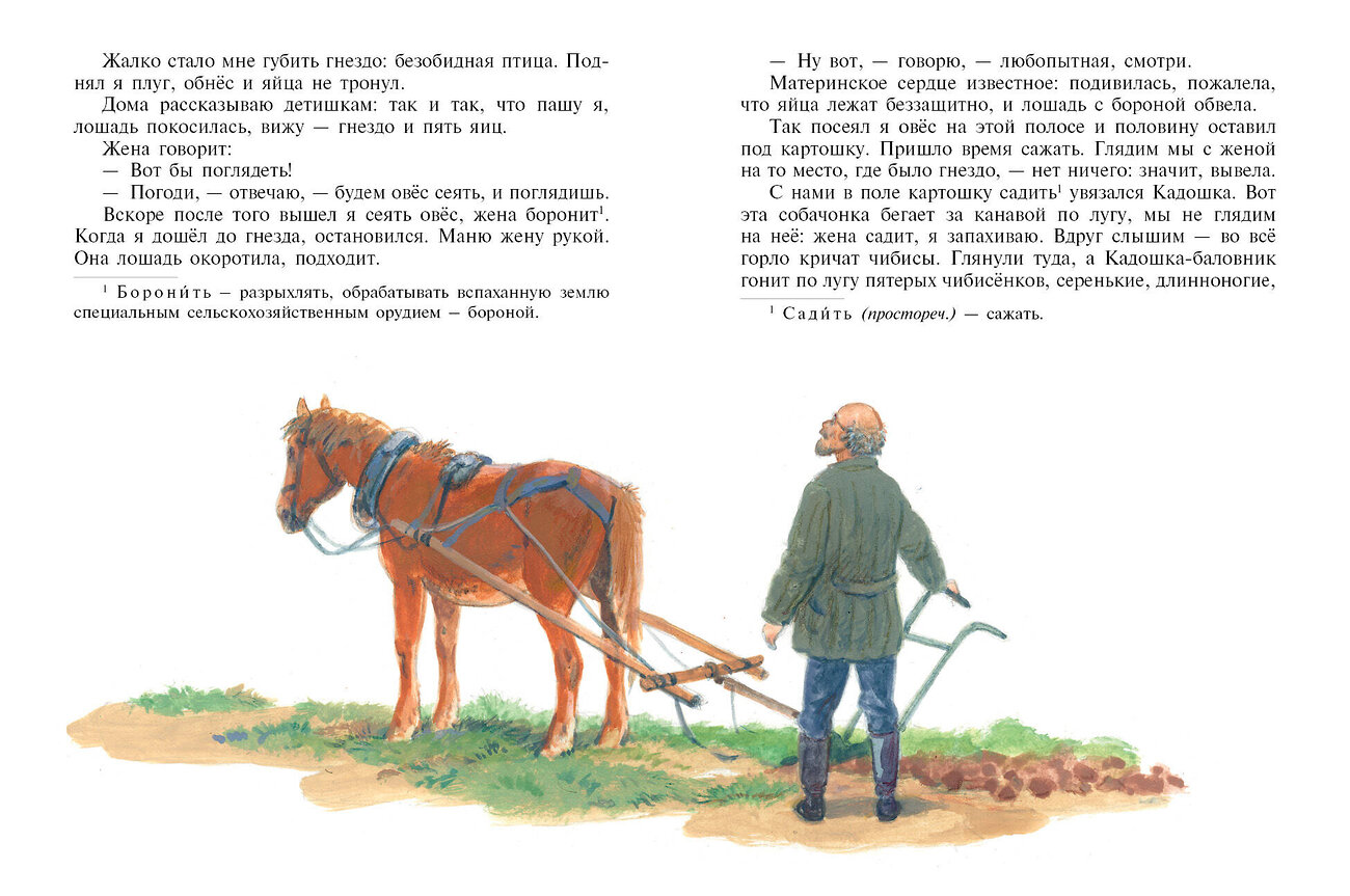 Эксмо Михаил Пришвин "Рассказы о животных (ил. С. Ярового)" 358509 978-5-04-177208-6