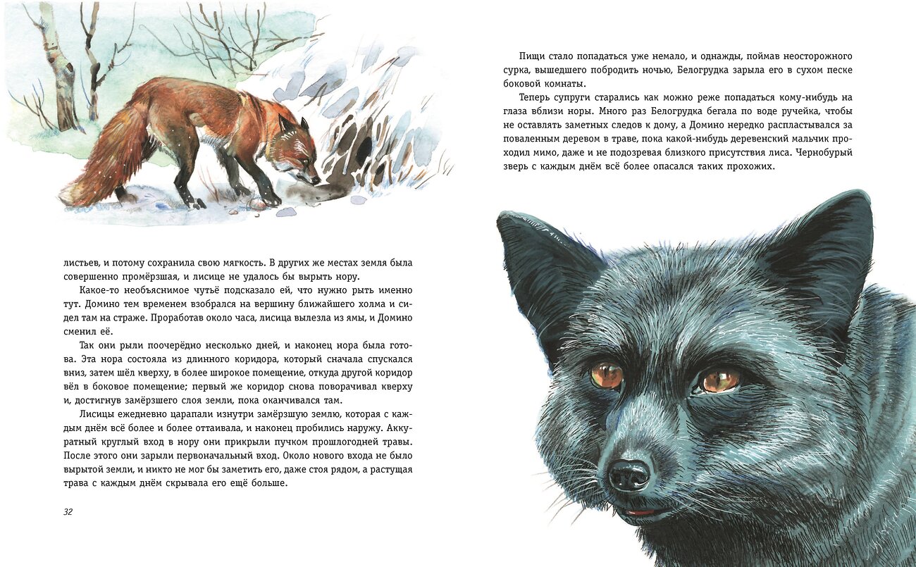 Эксмо Эрнест Сетон-Томпсон "Рассказы о животных (ил. В. Канивца)" 358878 978-5-04-178588-8