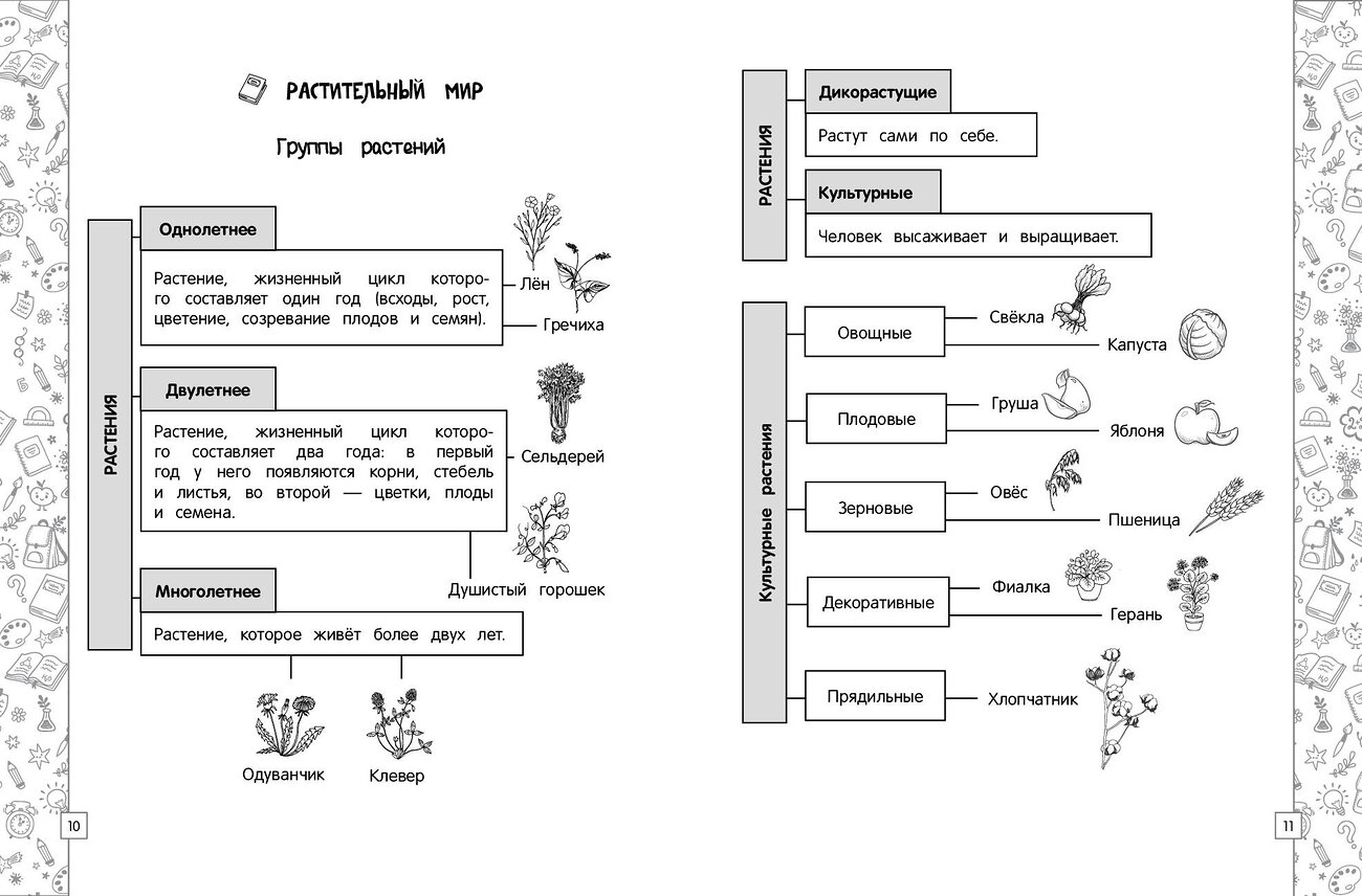 Эксмо А. М. Горохова "Окружающий мир в схемах, таблицах, рисунках" 359246 978-5-04-179886-4