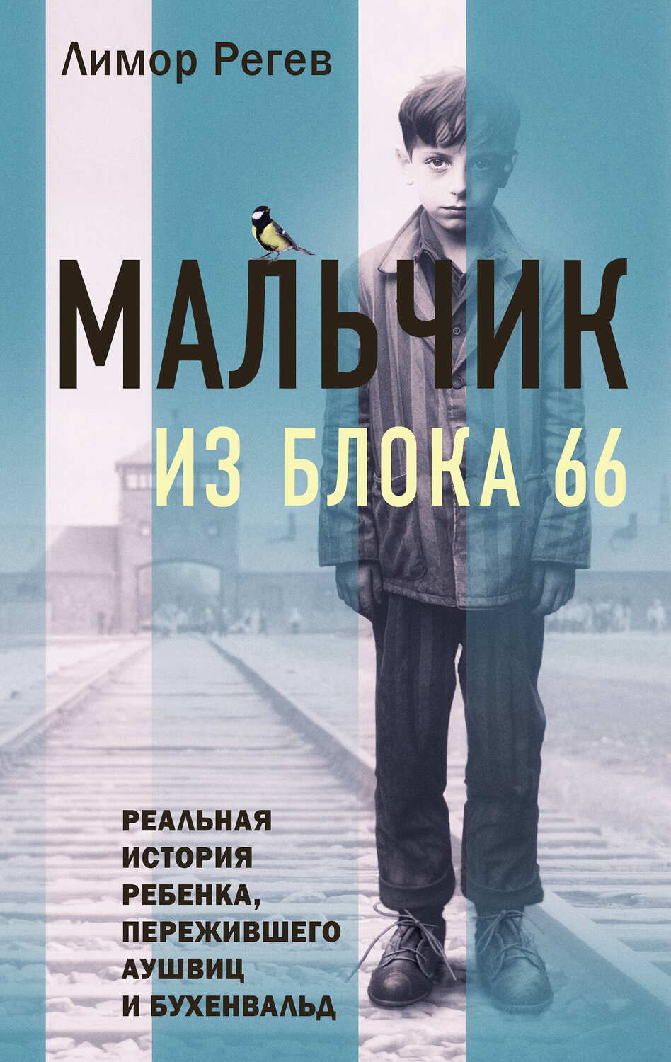 Эксмо Лимор Регев "Мальчик из Блока 66. Реальная история ребенка, пережившего Аушвиц и Бухенвальд" 360204 978-5-04-185011-1