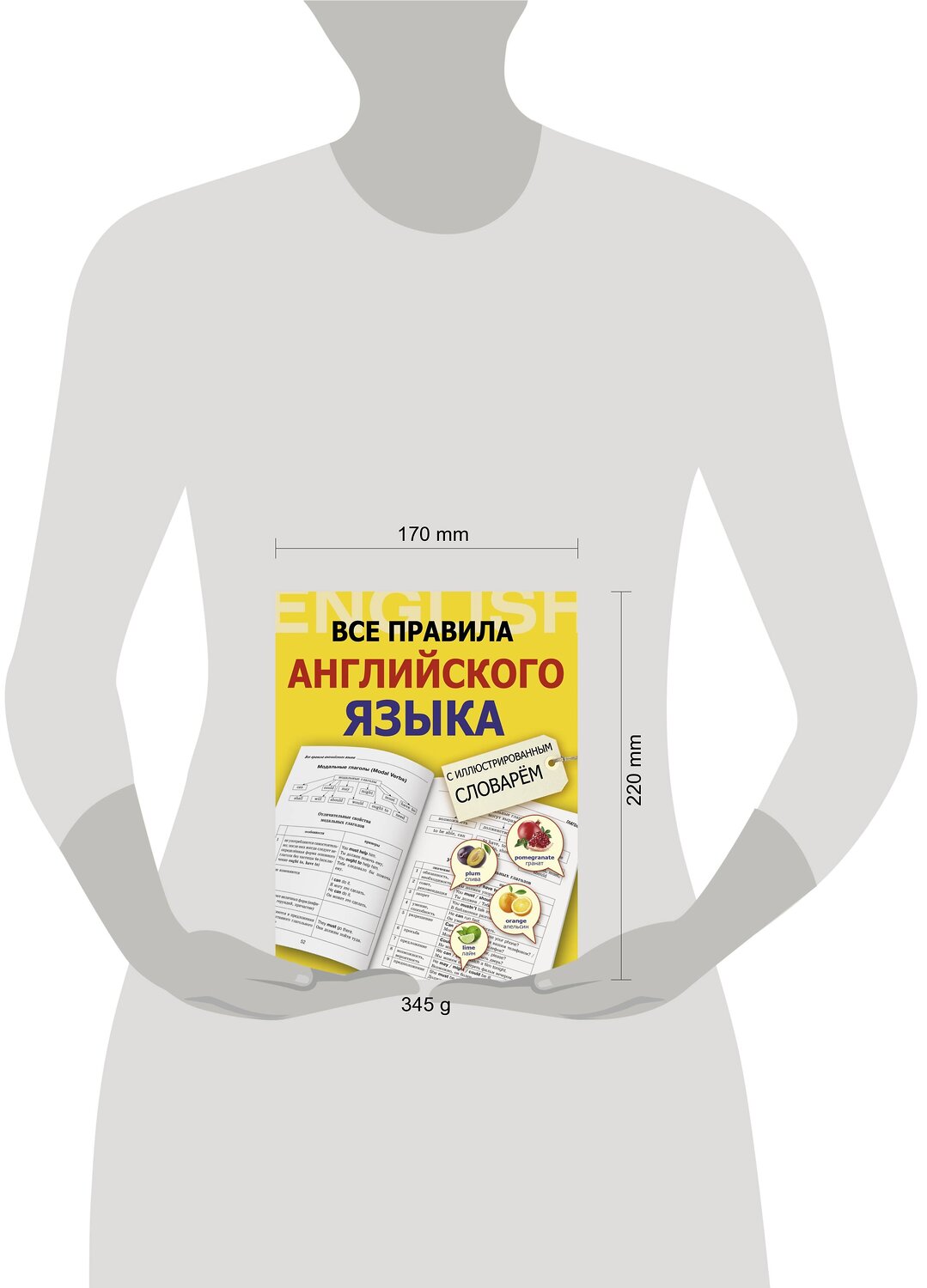 АСТ В. А. Державина "Все правила английского языка с иллюстрированным словарем" 364705 978-5-17-093568-0