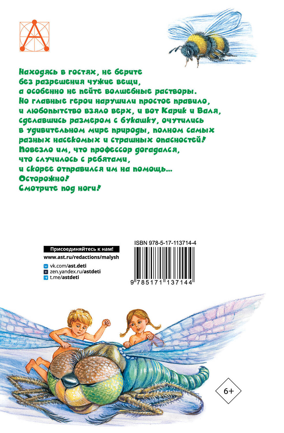 АСТ Ларри Я.Л. "Необыкновенные приключения Карика и Вали" 368295 978-5-17-113714-4