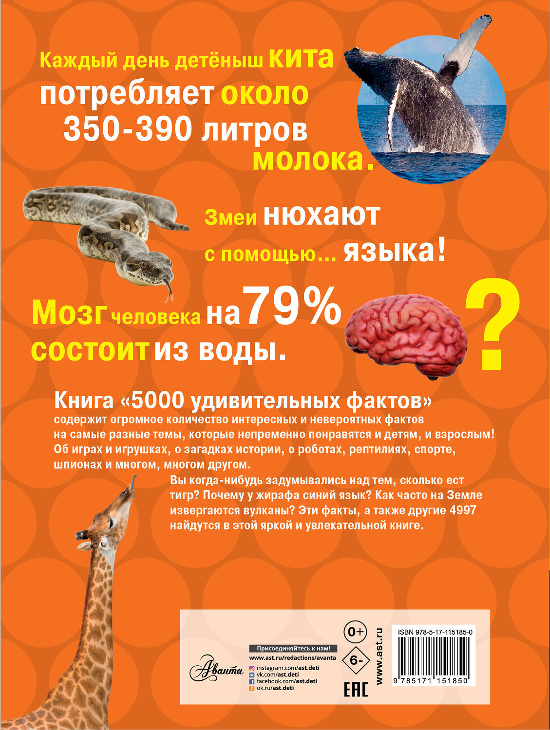 АСТ переводчик Банкрашков А.В. "5000 удивительных фактов обо всем на свете" 368688 978-5-17-115185-0