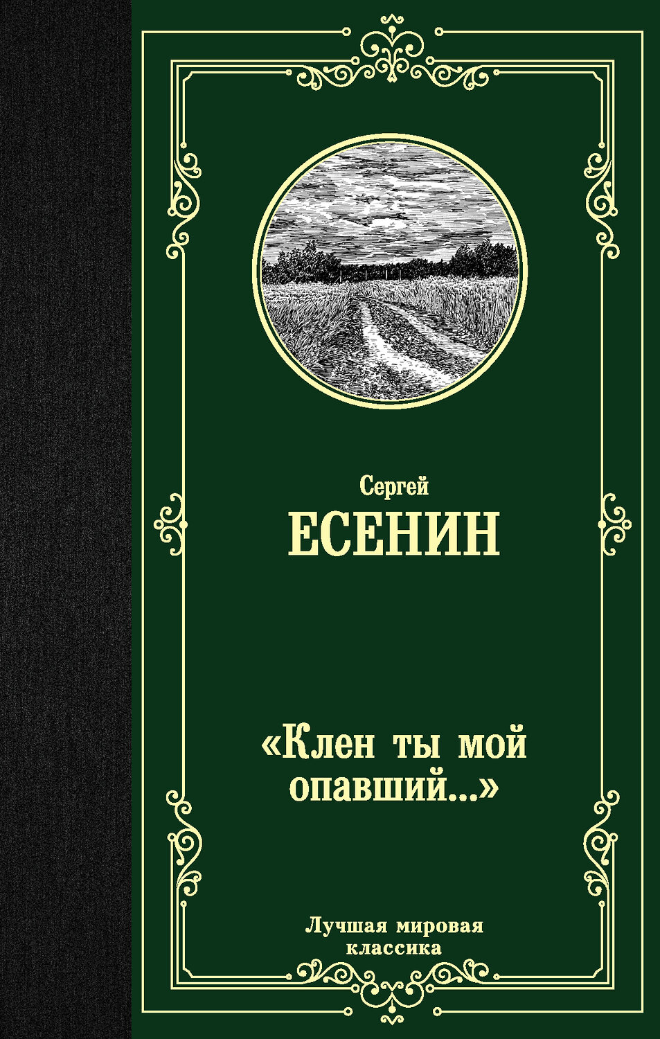 АСТ Сергей Есенин "Клен ты мой опавший..." 370096 978-5-17-119346-1