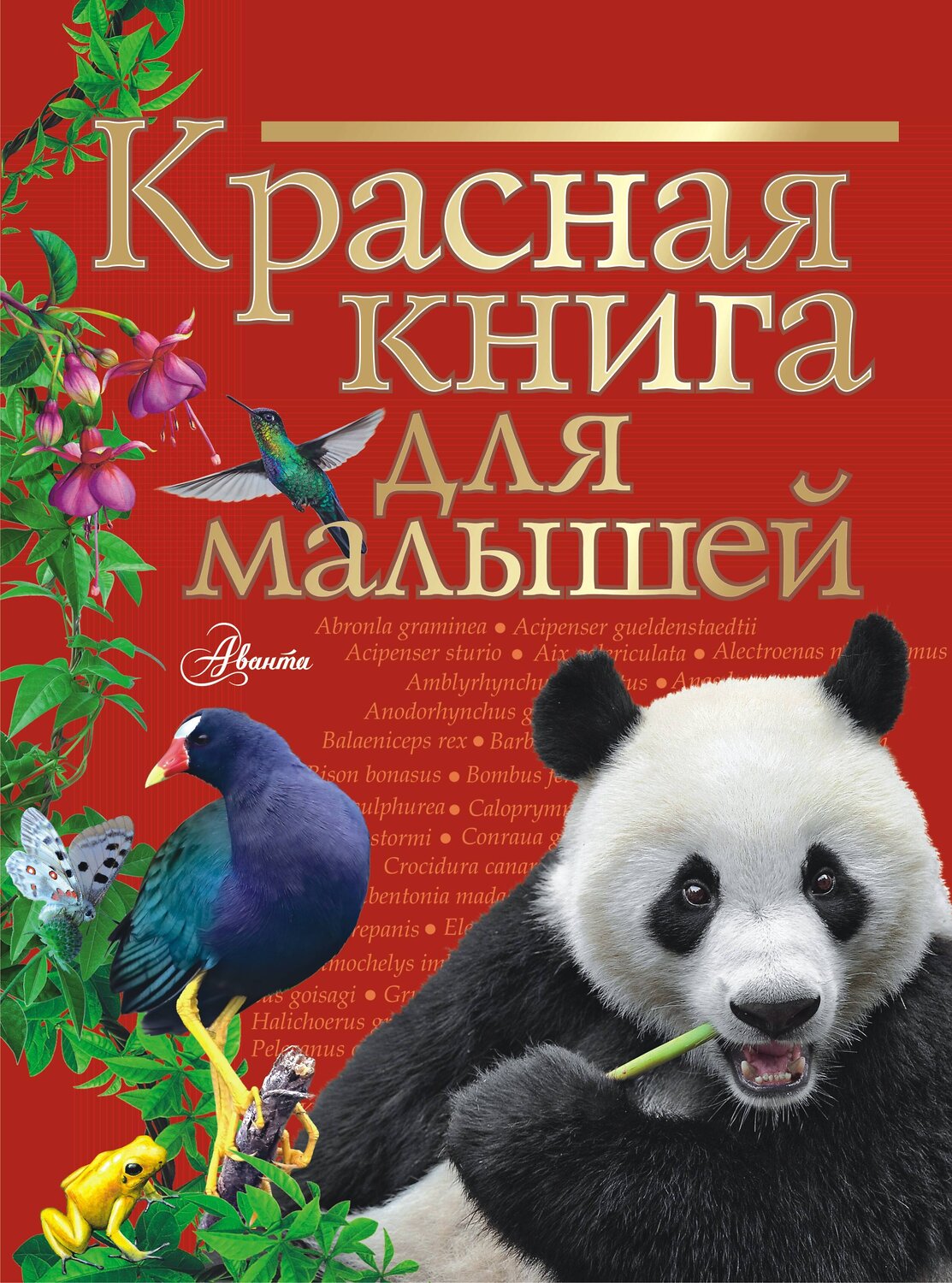 АСТ Бабенко В.Г. "Красная книга для малышей" 377581 978-5-17-148302-9