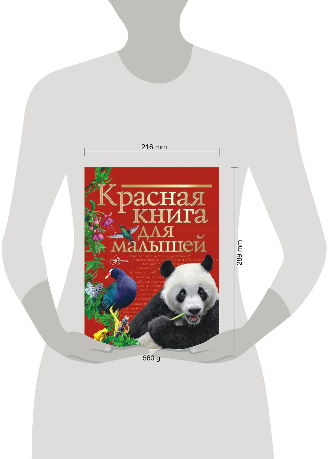 АСТ Бабенко В.Г. "Красная книга для малышей" 377581 978-5-17-148302-9
