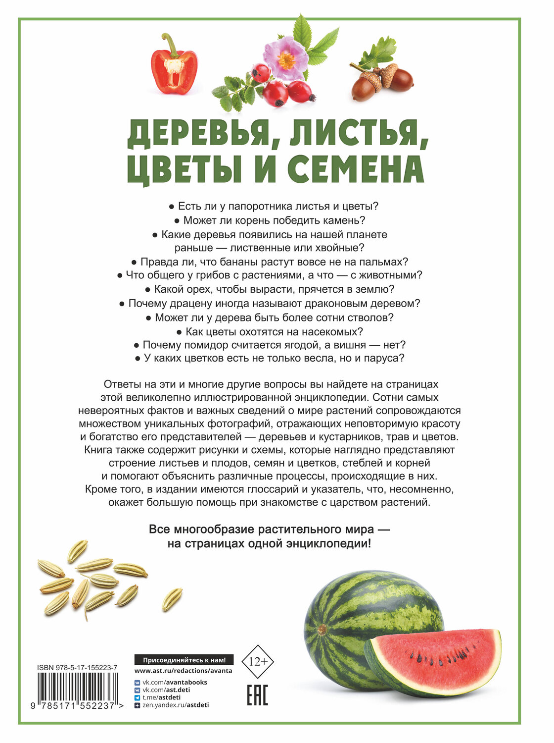 АСТ Спектор А.А. "Деревья, листья, цветы и семена" 380569 978-5-17-155223-7