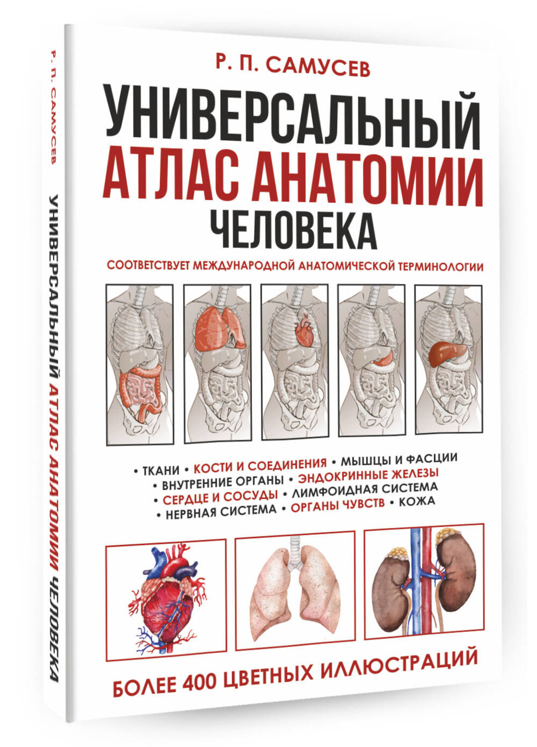АСТ Самусев Р.П. "Универсальный атлас анатомии человека с цветными иллюстрациями" 384983 978-5-17-156813-9