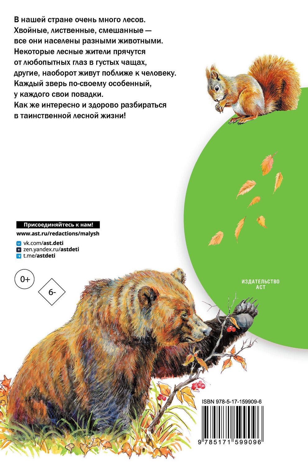 АСТ Волцит П.М. "Кто живёт в лесу?" 386743 978-5-17-159909-6
