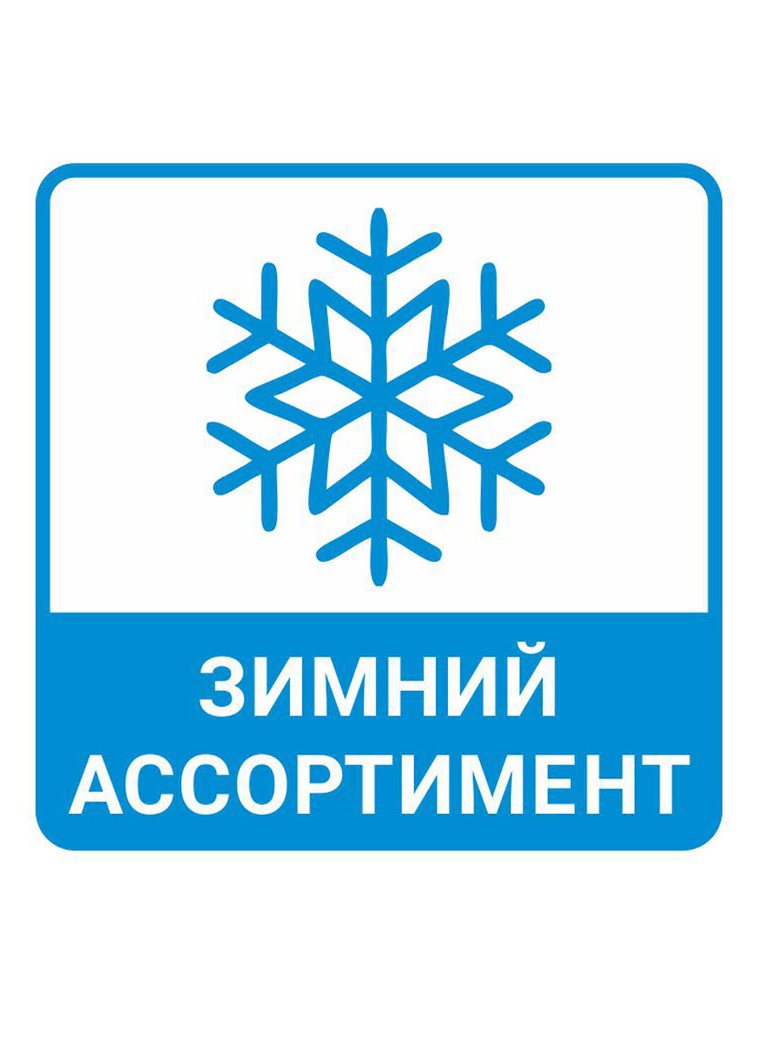 CLEVER Носки 403227 Д663ш т.синий
