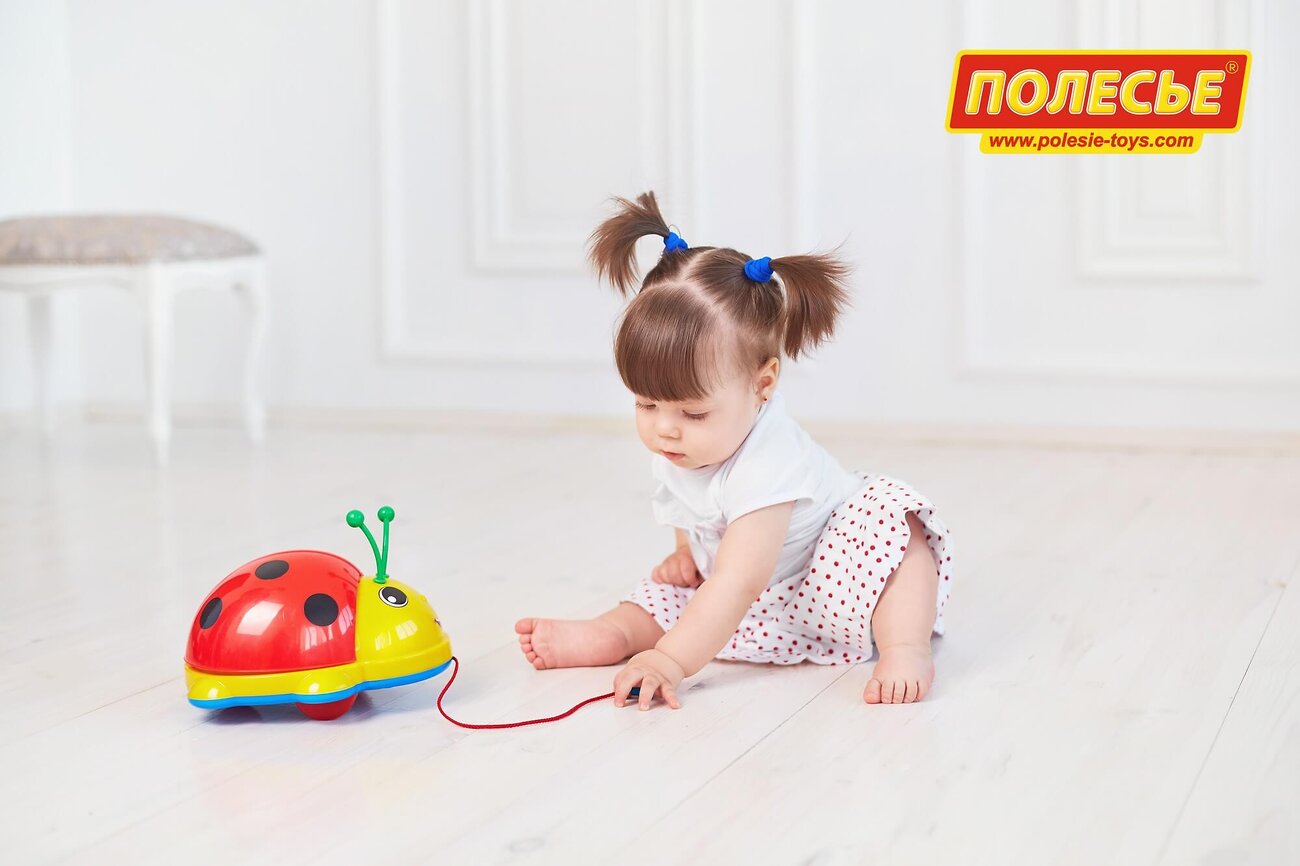 MOLTO Y CIA S.A. Божья коровка (в коробке) 412880 9158