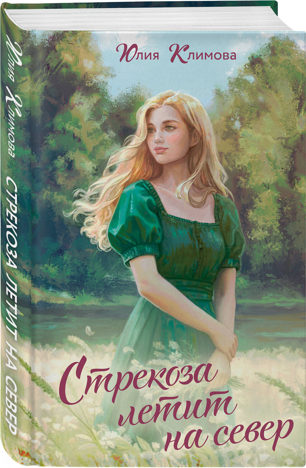 Эксмо Юлия Климова "Стрекоза летит на север" 419672 978-5-04-192356-3