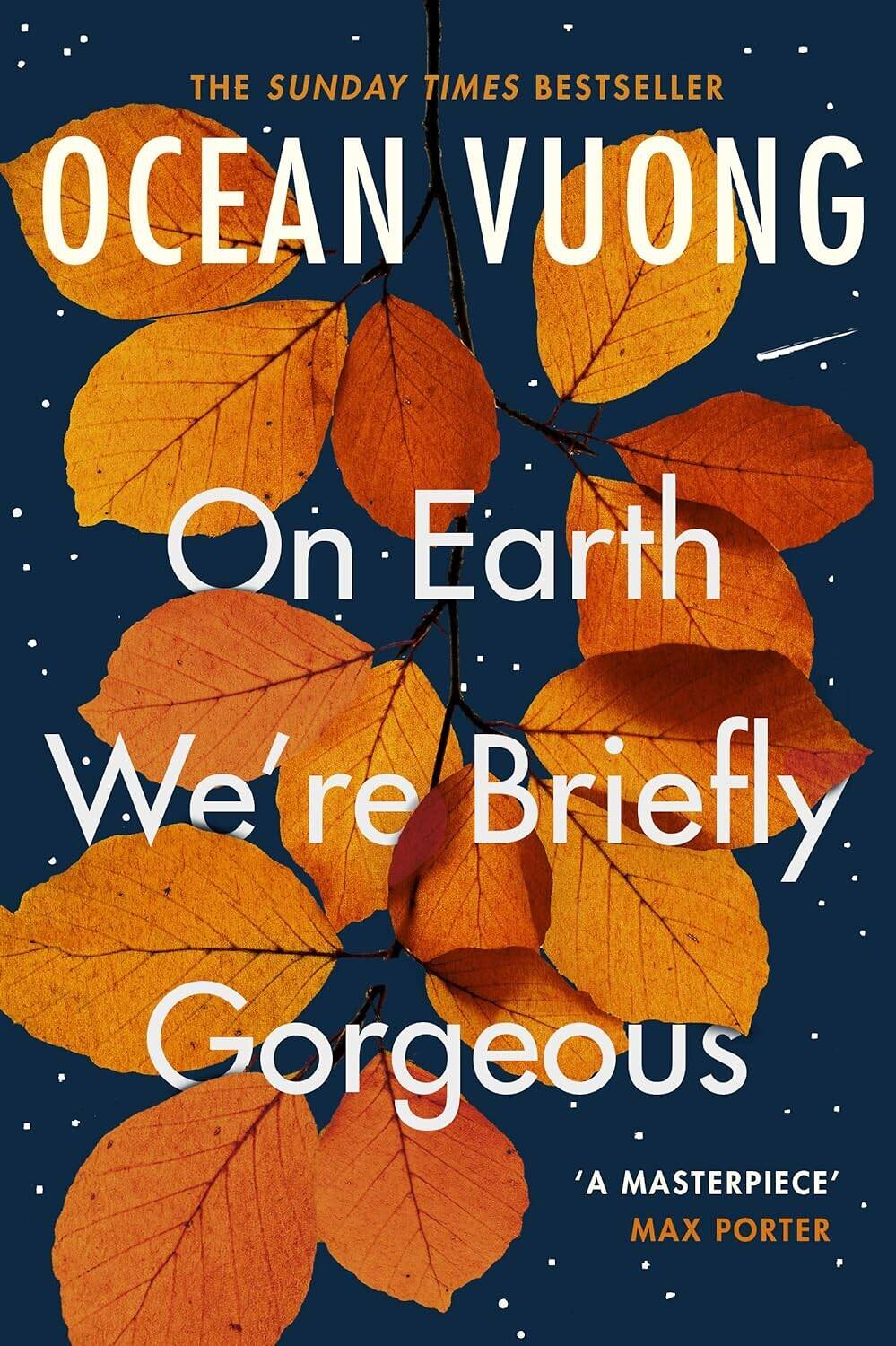 Эксмо Vuong, Ocean "On Earth Were Briefly Gorgeous (Ocean Vuong) Лишь краткий миг земной мы все прекрасны (Оушен Вуонг) / Книги на английском языке" 458122 978-1-52-911068-5