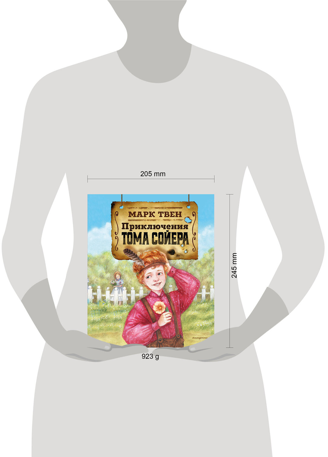 Эксмо Марк Твен "Приключения Тома Сойера (ил. Н. Баландиной)" 464297 978-5-04-177030-3